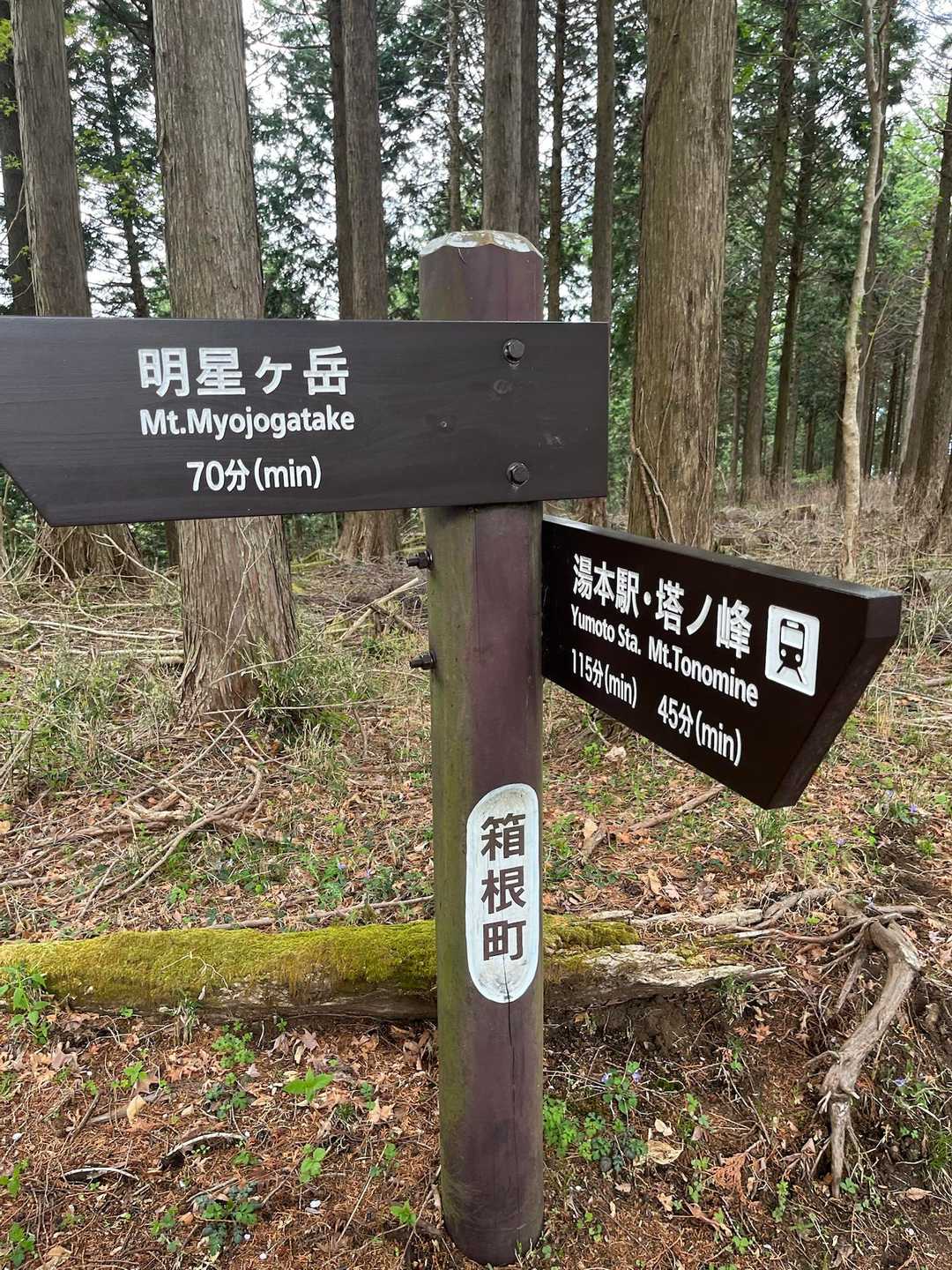 塔ノ峰を経て湯本へ