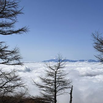お天気も良く汗ばんできます。