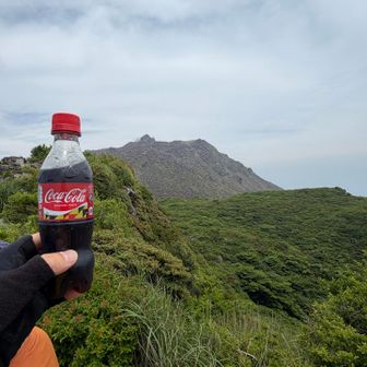 恒例の山頂コーラ