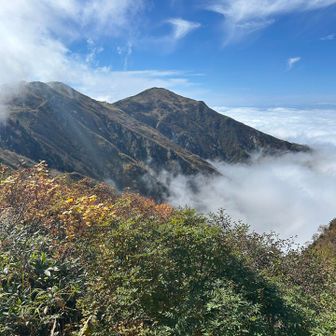 薬師岳