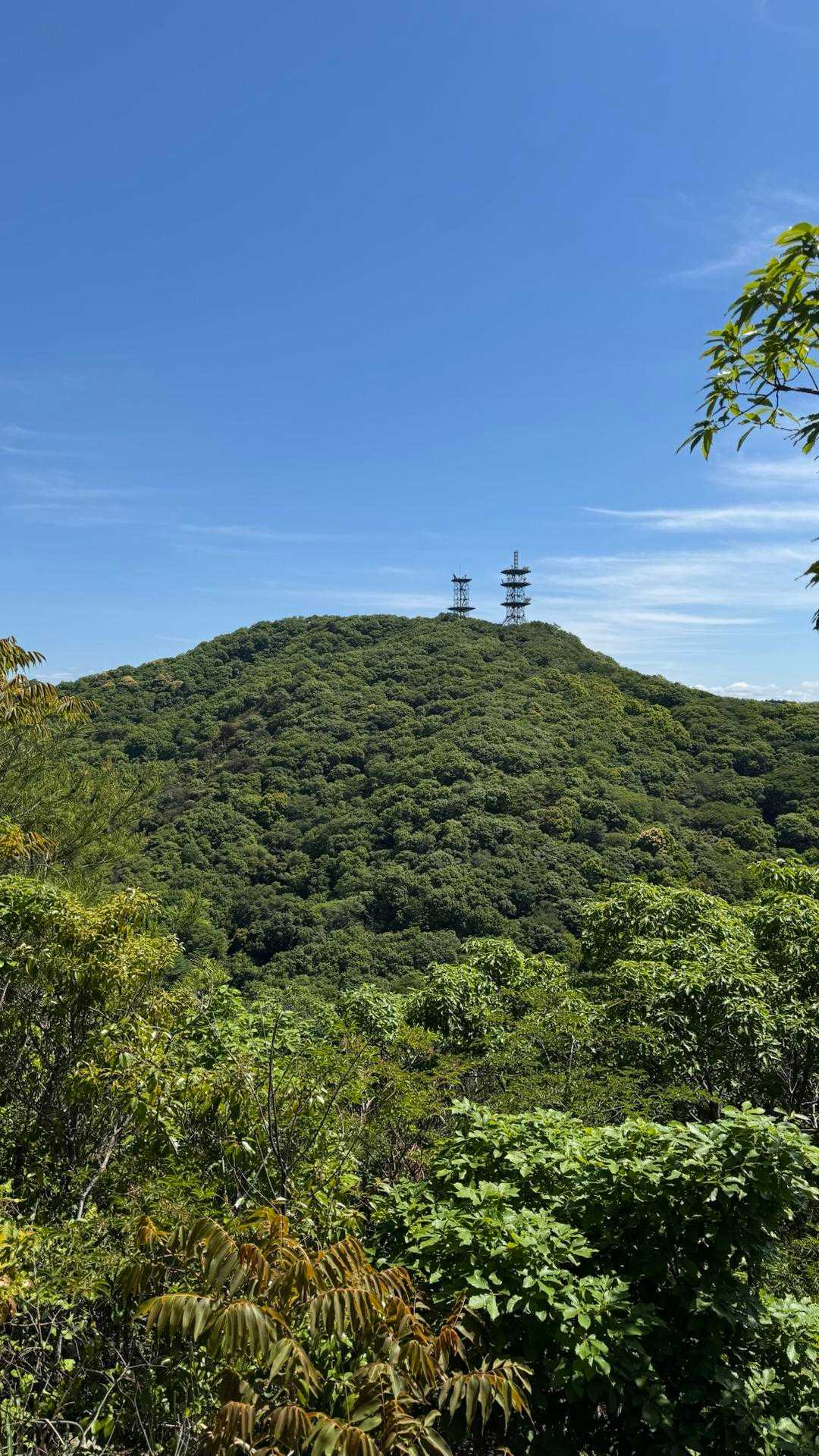 茶臼山