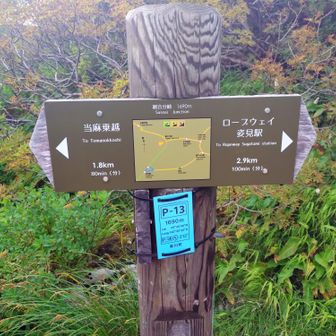 裾合分岐。この先で雨が降り出す。降るのは15:00くらいからのハズだったが…