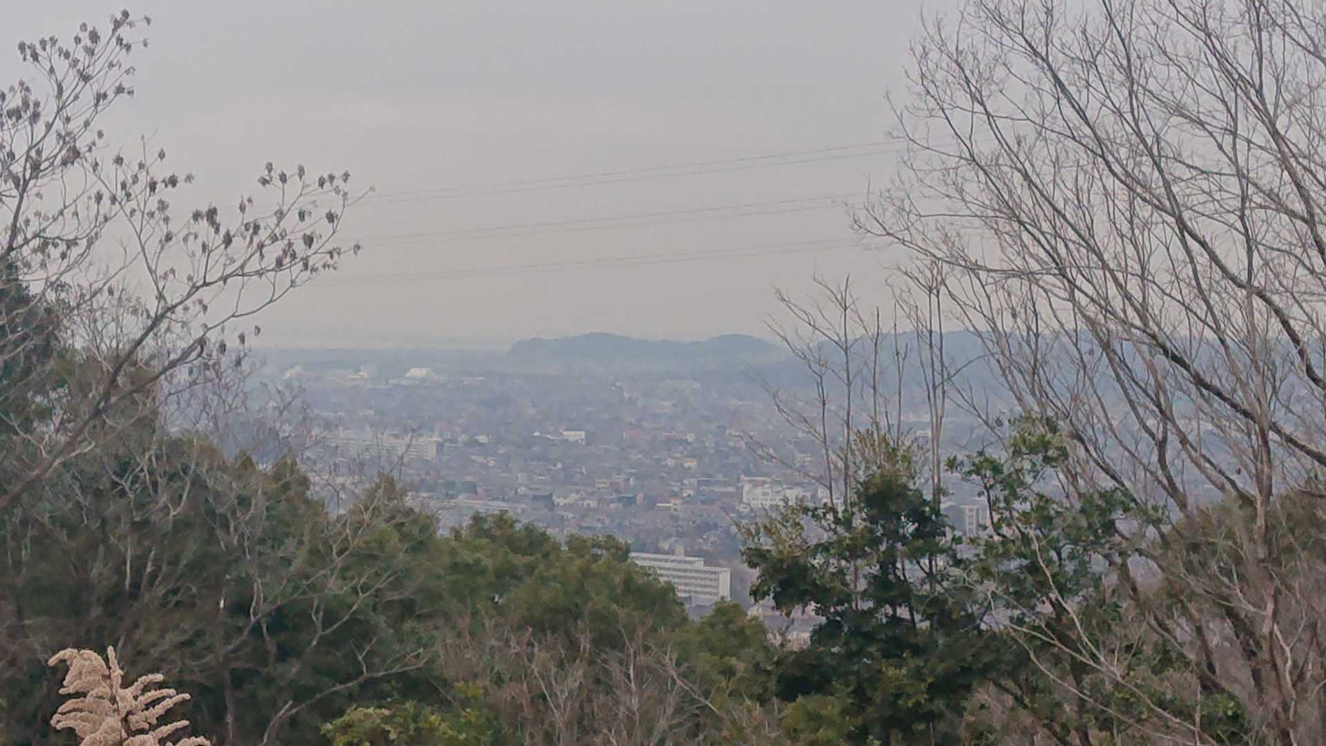少し離れたところがピークみたいです