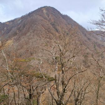 檜洞丸→蛭ヶ岳の登りがとにかくきつい😱
登っても登っても終わらない