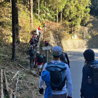 そして青梅界隈。
ここは青梅高水のコースだね

こっから登り返しきついんだよなー