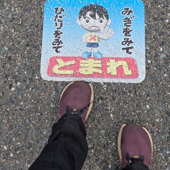 右見たら海だし
左見たら山だし
でも道路？の分岐点
信号も横断歩道も無かったな