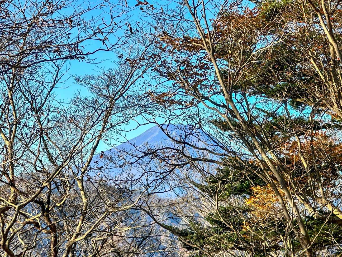 今倉山からの富士山