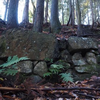この岩に腰掛けてひと休みしてたんですね。かつての往来が偲ばれます🪨