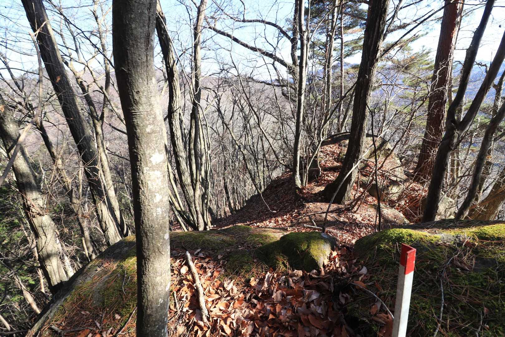 先に行けそうだから行きましたが🙋特になにもなし！
閼伽流山トンネルの真上には行けなかった😅
