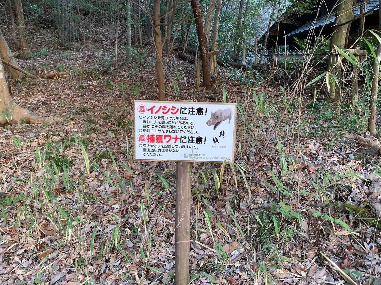 熊ではなく猪に注意