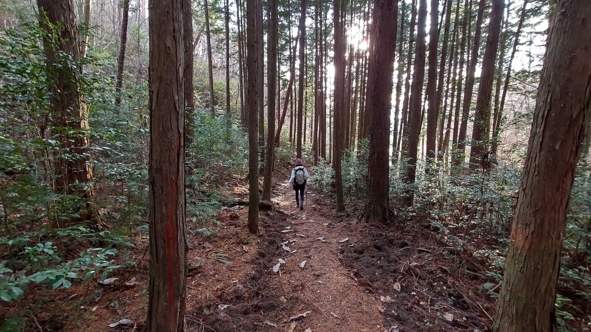 画になる