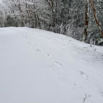 さて、帰りの運転大丈夫か？

ベテランドライバーの安全運転で、無事麓まで帰還出来ました🙆‍♀️