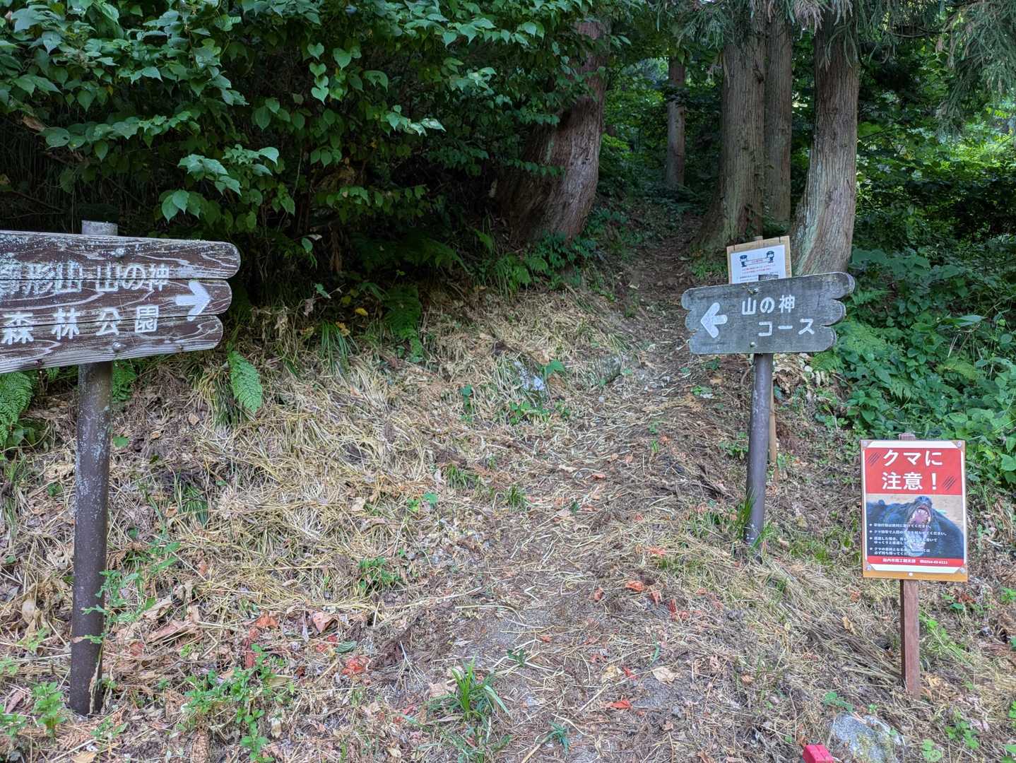 大沢駐車場へ戻りました