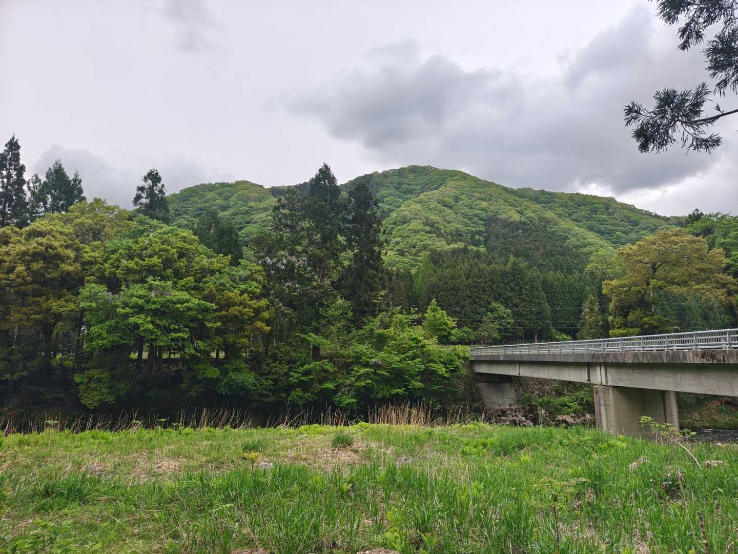 ゴール。