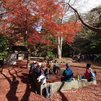 西門を出た所でお昼になったので、昼食にします