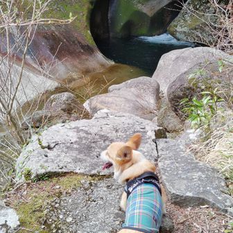 変わった形にえぐれた淵