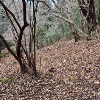 テープと　トレースが繋がってきて