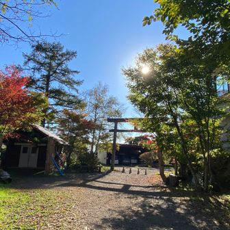 やっと浅間山荘到着
帰りはめちゃくちゃ長い
温泉は錆の匂いのする濃い茶色の湯
めちゃ温まって肌ツルツル