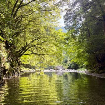 流れは穏やか
少し待てば、リフレクションが見られそうな程に🍂

結局いい時間になったので、このまま🅿️へと戻りました。🦭