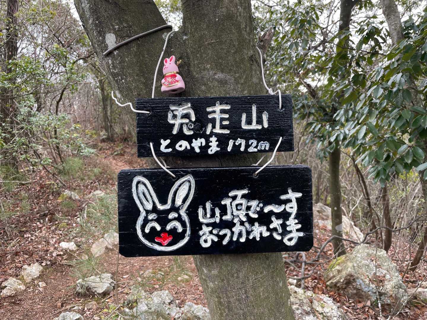 岩田山-舟伏山 周回コースの写真