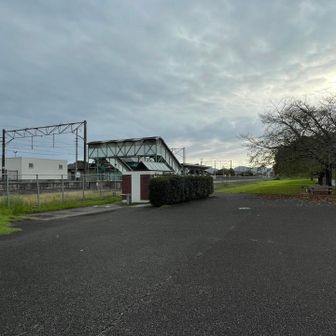 スタート地点、りんりんロード駐車場付近。
トイレあります…この先、しばらく無いけど。