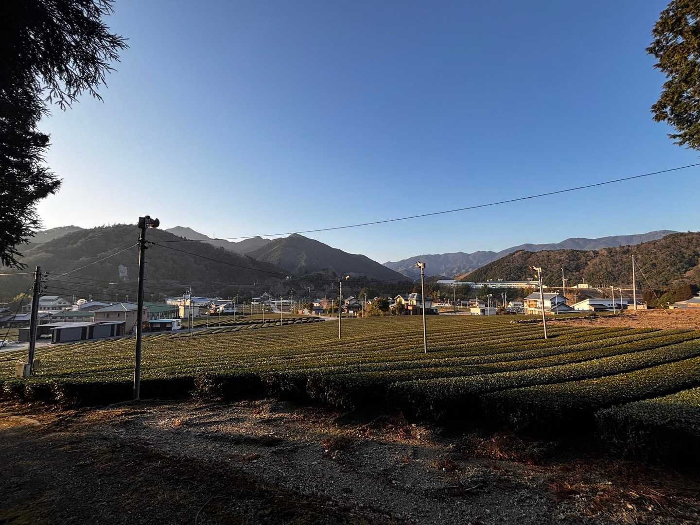 南猪子山-烏岳 往復コースの写真