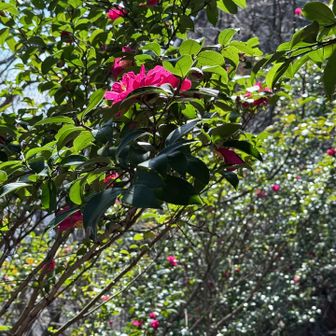 それでも頑張って撮る！