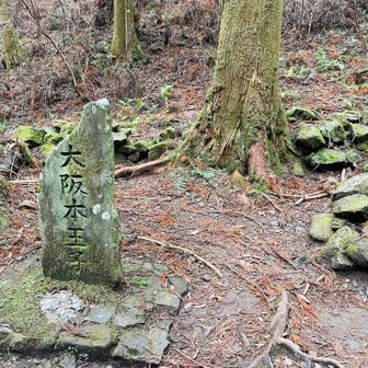 大阪本王子。
王子ごとにお賽銭なんですが、私は本宮でまとめてお賽銭👍と無銭参拝を続け、ふざけたお賽銭話しを蹴り返していたら、、、
携帯の触りもしていない音楽が勝手に流れたり、
Apple watchのタイマー機能が勝手に作動したり、不思議な少し怖い体験をしました。
反省です😰
