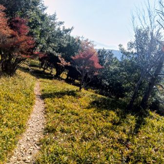 お天気に恵まれました✨