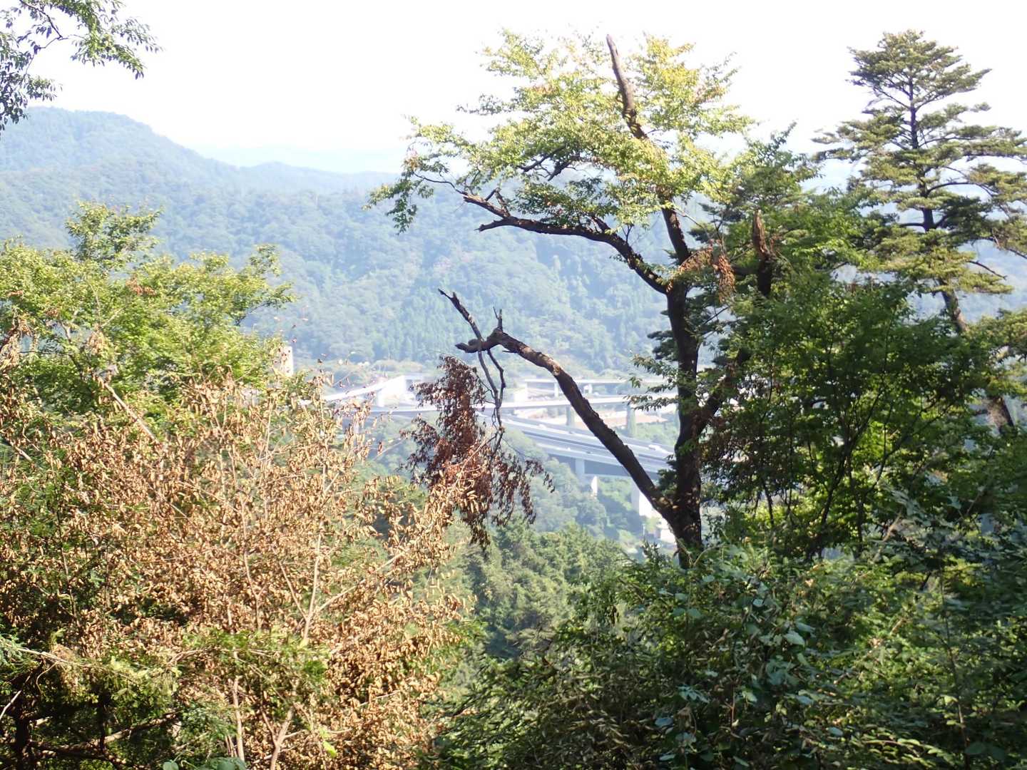 與瀬神社-與瀬神社登り口-孫山-吉野矢ノ音-明王峠-底沢峠 縦走コースの写真