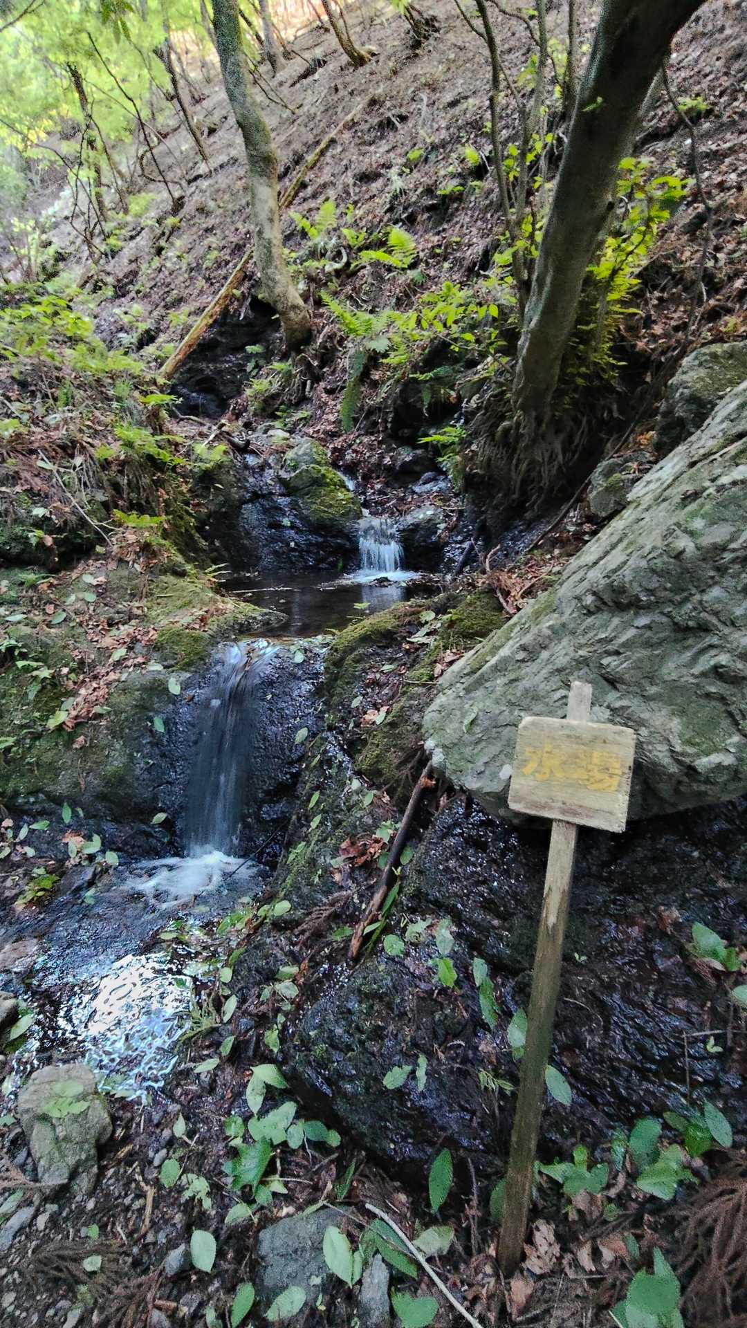 水場