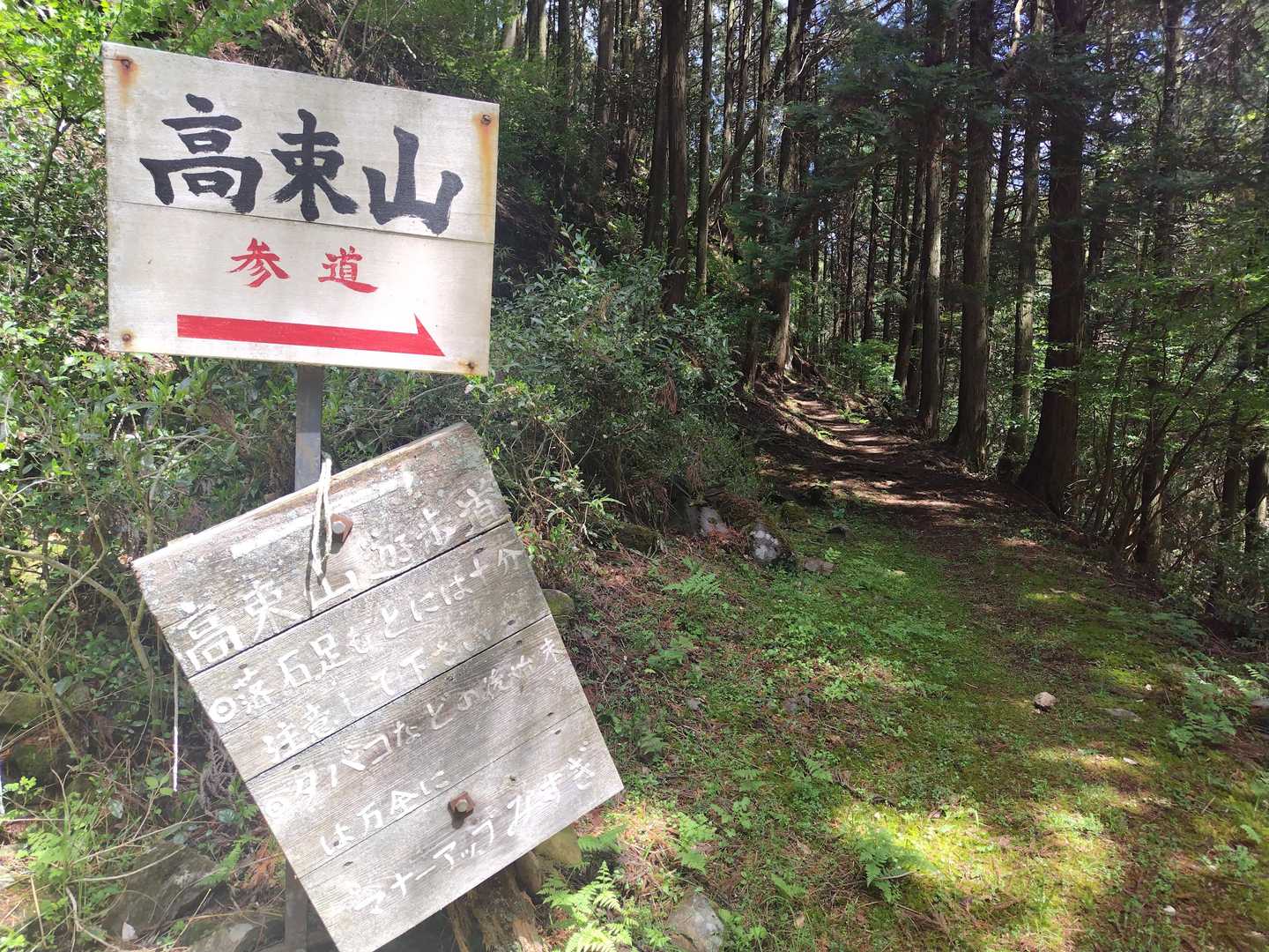 参道というだけあって、よく整備されていました😊🙏