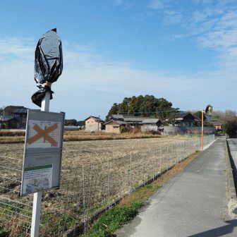ここにバスが通ってたけども。今年で廃止になったみたいですね。
