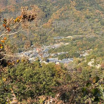 一気に下ると
大山祇神社が見えて来た