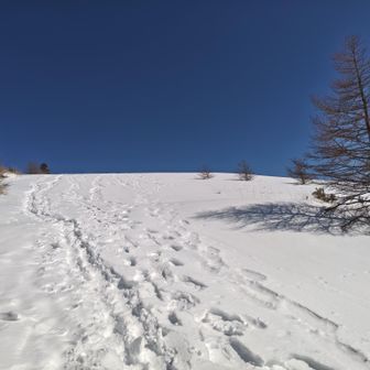 浅間山・黒斑山・篭ノ登山 山頂までの大雪原が気持ち良い😀