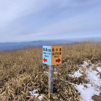 こっちからも登れるルートありだそうです。
彼女は、こちらから登って来たそうでした。今度行ってみたい✨