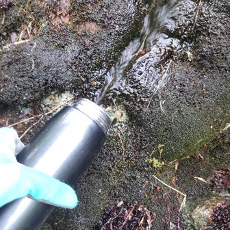 命の泉
この水は飲めるようです(保証なし)