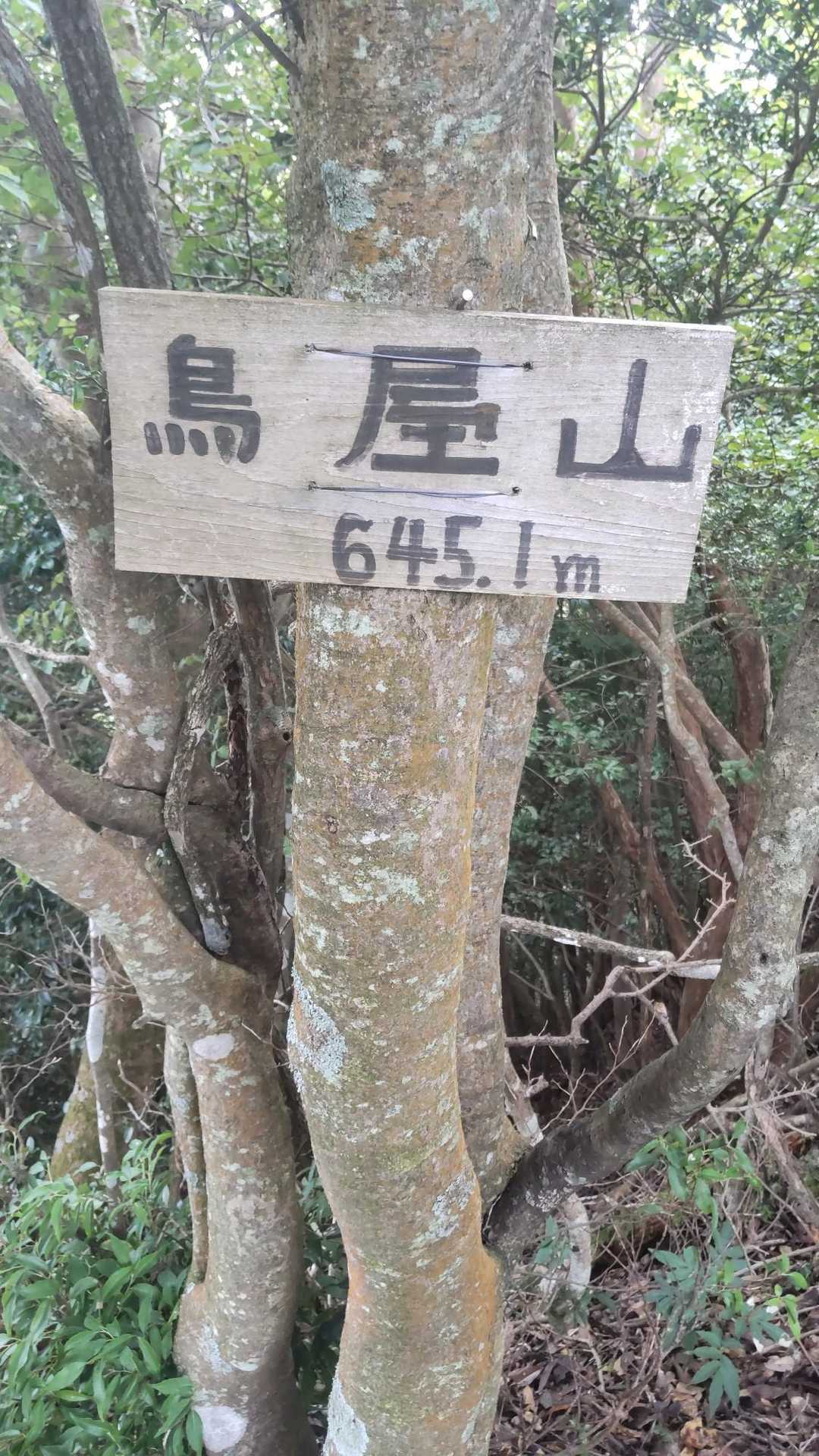 鳥屋山 往復コースの写真