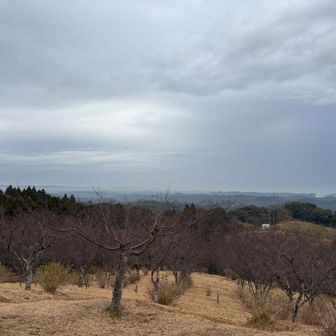 なんとか野見金に到着
（なぜか今回は導きのおかげで行けました）

でもなぜか不思議な気分

ここでザーザー雨が降ってきて、しばらく雨宿り・・