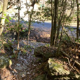 無事下山…
今日も楽しかった🙏