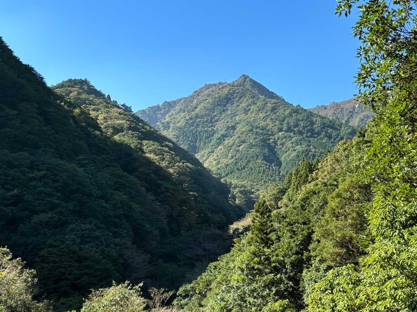 水沢岳がそびえてる