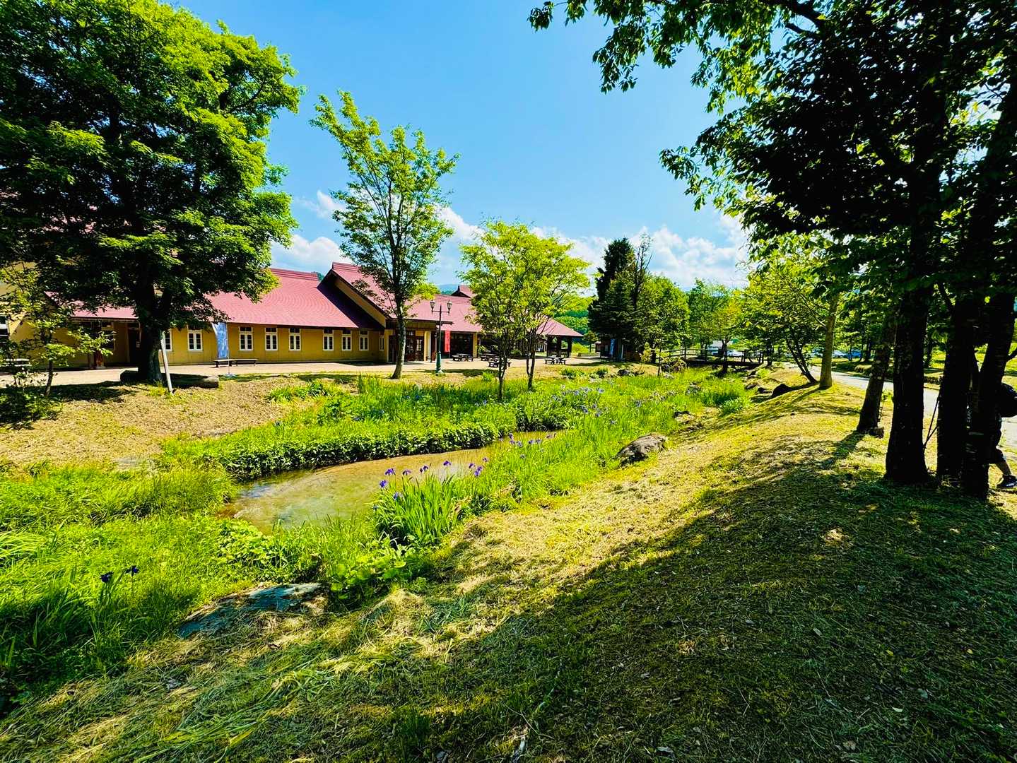 YAMAP新道から登ります