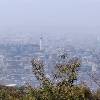 東山山頂展望台より。京都タワーが見えます。