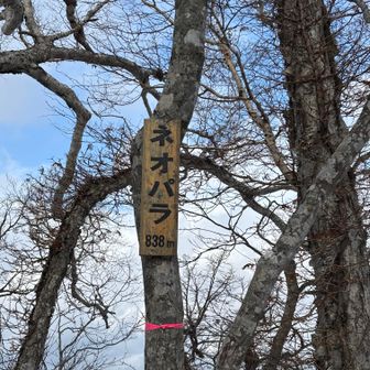 ネオパラ　山頂
やっと着いた