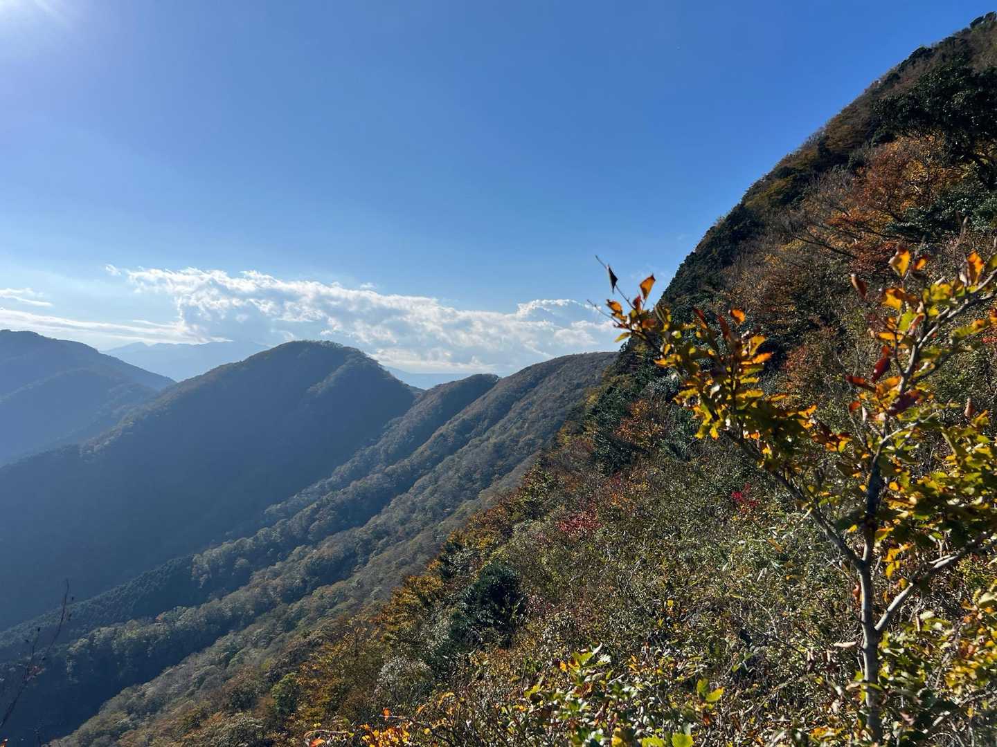 金時山コースの写真