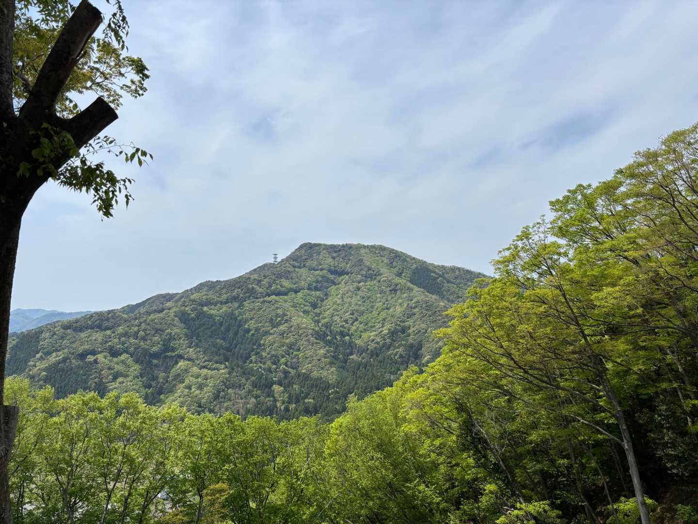 向かいに天王山（グレピ）
敦賀から小浜に抜けるには、必ず御岳山と天王山の間を通る必要があったと。
そこにお城があるんやから、攻める方は難儀したやろなと思える地形。
昔は木も生やして無かったんやろなと、小一時間。