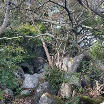 更に展望台へ向かう為に進みます
岩場になってきたのでポールはなおしてちゃんとグローブはめなおしました