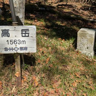 山頂から少し下った三等点、