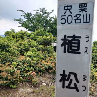 憧れていた植松山⛰️