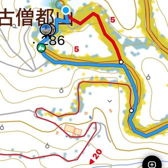 コソトヤマ　低山の　強引な下りは　遭難します🚨
これくらい　　と、思うて高崎山で　亡くなってましたね😨

プチ経験しました😰
